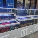 청년수산 이미지