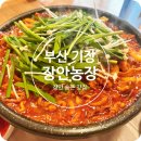 (주)에이치앤디이 장안(부산)휴게소 | [맛집] 부산 기장 숨은 오리고기 맛집 &#39;장안농장&#39;