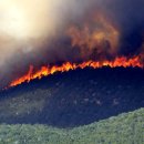 천하태평 이미지