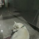 미장안7길 이미지