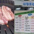 시집못간암돼지