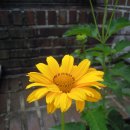 신서고등학교 이미지