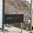 파인센트 풀빌라 펜션 | 수영장 노래방 보드게임 놀거리 가득한 가평 파인센트 신축 풀빌라 후기 단체 여행으로도 매우 추천✨