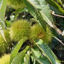 국토종주자전거길1-45 이미지