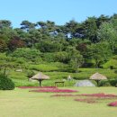 안면도자연휴양림 이미지