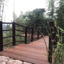 GR(장성군)-[갈재로]-상-2 | ﻿양고살재와 고창출신 박의(朴義)장군