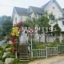월대산로 Daum카페