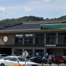 연꽃세상 | 충남 부여 반려견 동반 당일치기 여행 맛집, 궁남지 연꽃 명소 다녀온 후기