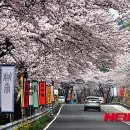 남해-남해-남해-비-3 이미지