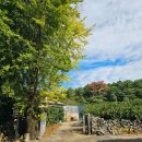 서홍동-8 이미지