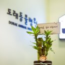 도래동물병원 이미지