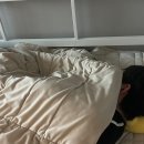 멕시카나치킨우산점 | 3.16 - 3.22)