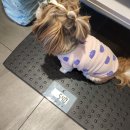 아이앤지동물병원 이미지