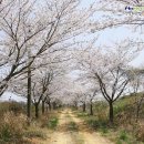 두산목장 이미지