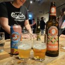 멍멍이샵 | [덴마크] 코펜하겐 Carlsberg 칼스버그 맥주박물관ㅣ브루어리 투어, 시음, 굿즈샵 후기