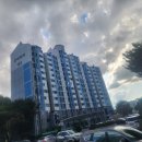 산호대로21길1R-3 | 구미 도배장판 잘하는 바른 도배 옥계신나리 아파트 친환경 실크벽지 kcc 2.2t 장판 시공하고 왔어요