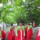 복사골축제 이미지