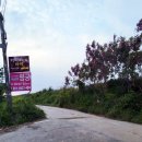 아미2길 이미지