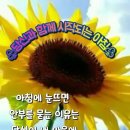 마음이꽃밭 Daum카페