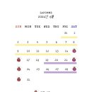라뽐 이미지