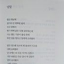 꿈꾸는 나비 이미지