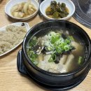 능이 버섯고을 | 독산역 삼계탕 능이버섯고을 내돈내산 후기