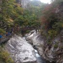 설악향기로 개통 산책로(2.7km),스카이워크.출렁다리 단풍구경 10월19일(토)~20일(일)신청해 주세요 이미지