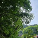 석굴암주차장 | 석굴암 불국사 당일치기코스 경주의 보물 주차장 후기