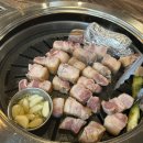 두투미 이미지