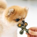 (주)조이플래닛 이미지