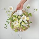 샤인소아청소년과의원 이미지