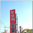 돈모리