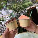 담금 젤라또 이미지