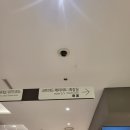 [서울영등포구] 코트야드 메리어트 모모커피&amp;바 후기(다이아몬드카드 사용 후기)