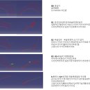 곡율 이미지