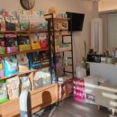 마이쏭 펫샵 이미지