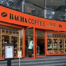 바샤커피 청담 주차 메뉴 추천 웨이팅 후기 Bacha coffee