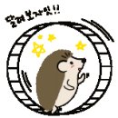 순이네농장 이미지