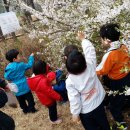 파랑새몬테소리어린이집 이미지