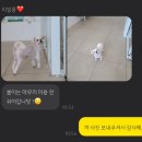 리쌀롱 이미지