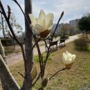 유전제공원 이미지