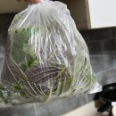 4.19부어치킨 | [마포감자국] 수유 우이동 오래된 노포맛집 이전하고 방문포장 후기