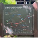 😀제 202회차 2026년 6 월21일(일요일) 😃점봉산 곰배령(1.164m) 이미지