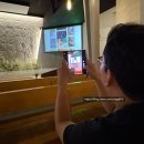 바비올린음악교습소 | 9월의 신부되다! 보테가마지오 본식 후기 (단독홀의 우아함과 식사 만족도 만점!)