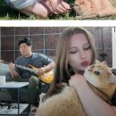 폴란드 미녀 사귀는 한국 남자 이미지