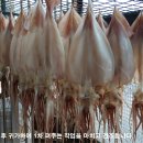 한림배수장 | [김해] 화포천 아우름길(제3코스-제7코스) 트레킹후기--- 2021년 7월 28일(수)