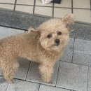 설렘 이미지