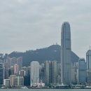 호텔 M-TOWER(엠타워)카페 | 🇭🇰홍콩 1주일 자유여행 2일차 란퐁유엔, 엠플러스, 서구룡문화지구, 홉익타이 창펀롤