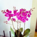 창호초등학교 이미지