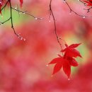 (주)서울아이씨 이미지